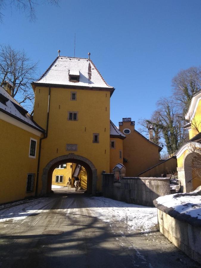 Gaestewohnung Schlossblick Grodig Exterior photo