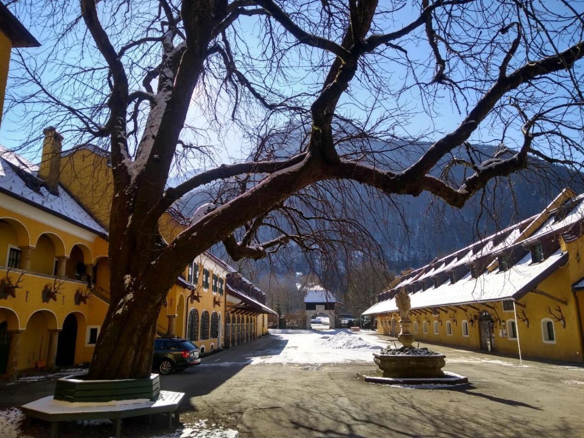 Gaestewohnung Schlossblick Grodig Exterior photo